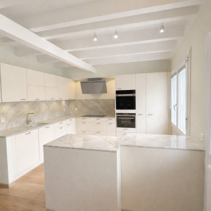 taj mahal quartzite, kitchen renovation