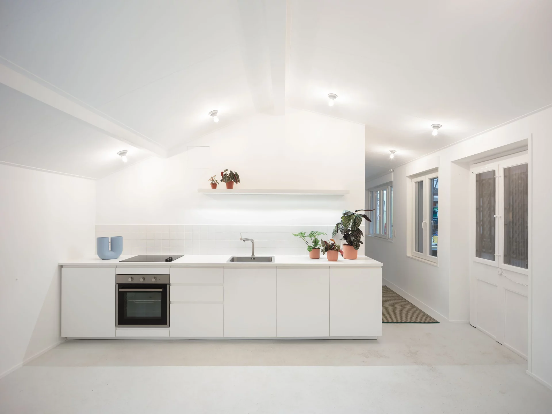 complete renovation of a house annex in Geneva